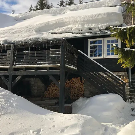 Pri Vleku. Chalet