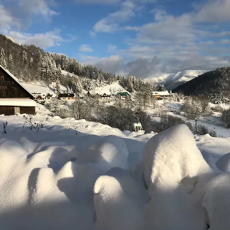 Chalet Pri Vleku. *