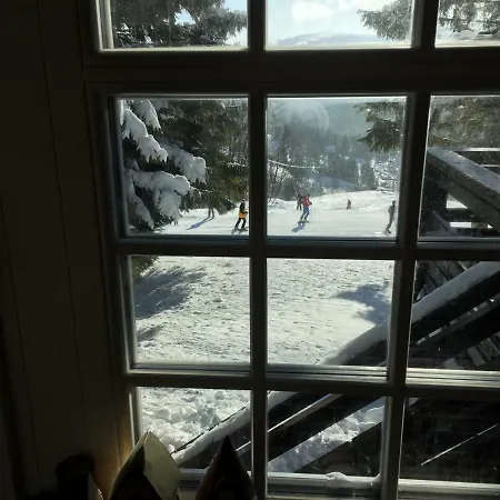 Pri Vleku. Chalet *