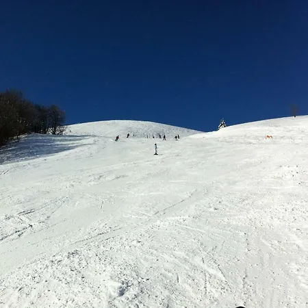 Pri Vleku. *